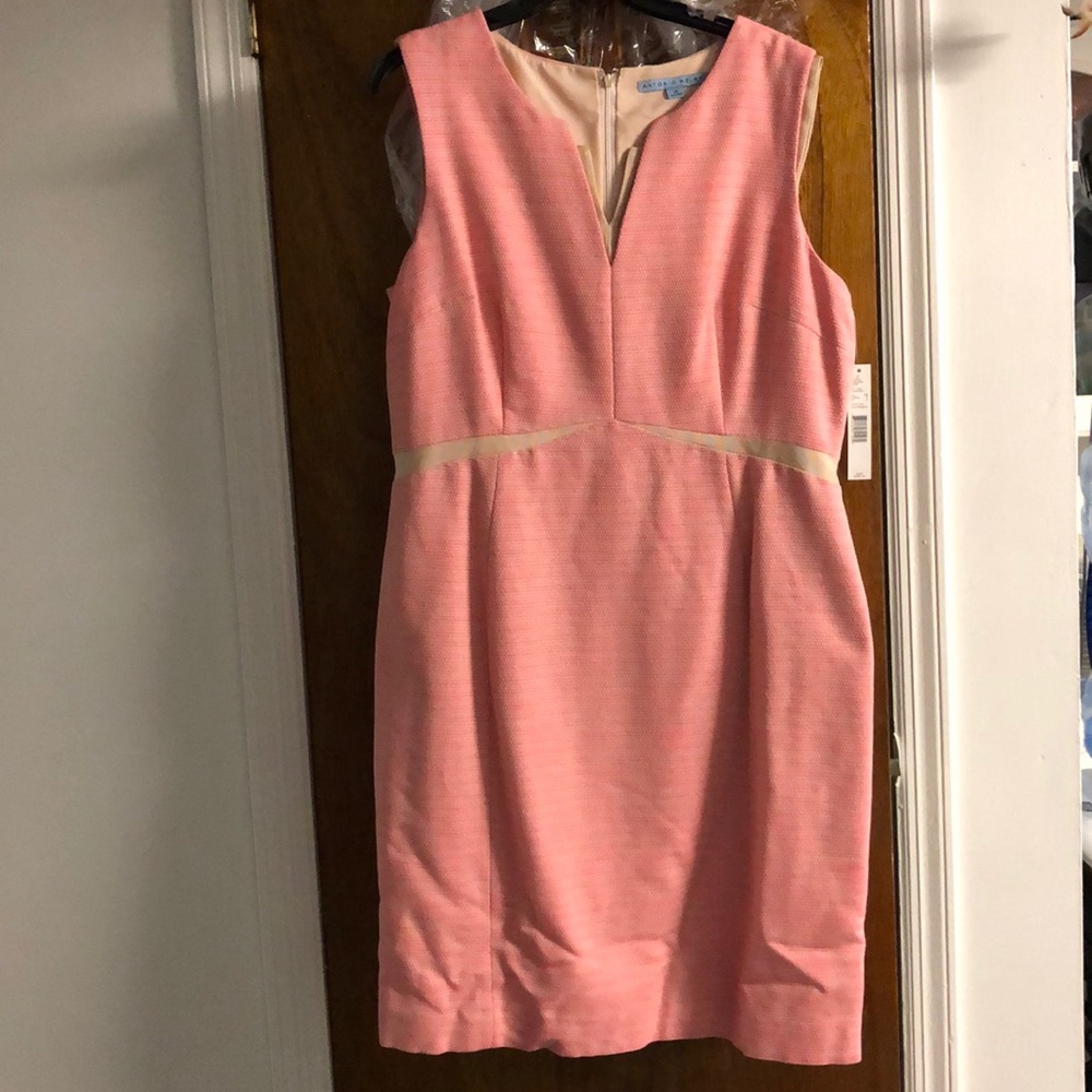 Antonio Melani Dress Size 14 New Never Worn